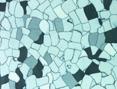 工作动态行业动态展示